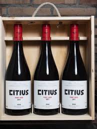 2018 Alta Pavina Estate Citius Pinot Noir