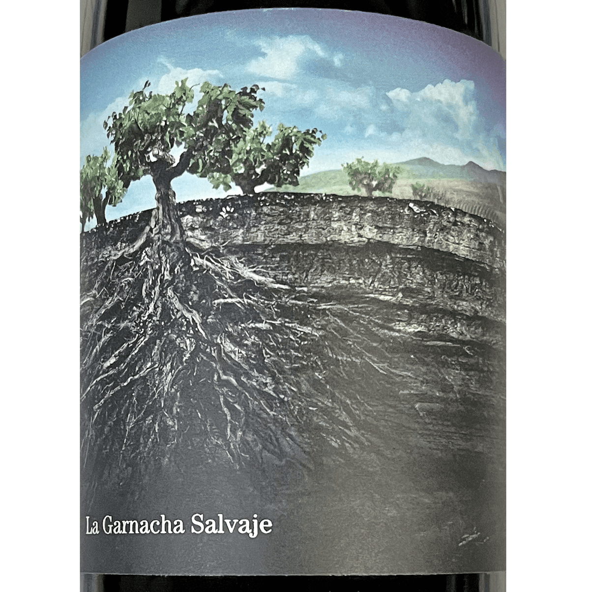 2021  La Garnacha Salvaje Proyecto Garnacha