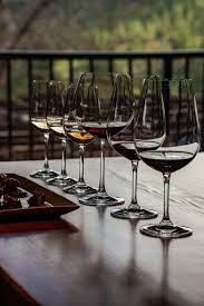 Wine Sensory Tasting Experience